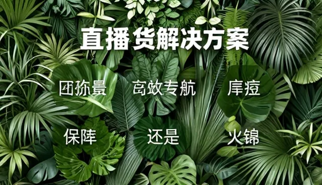 影视策划选型中应用场景分析的关键要素